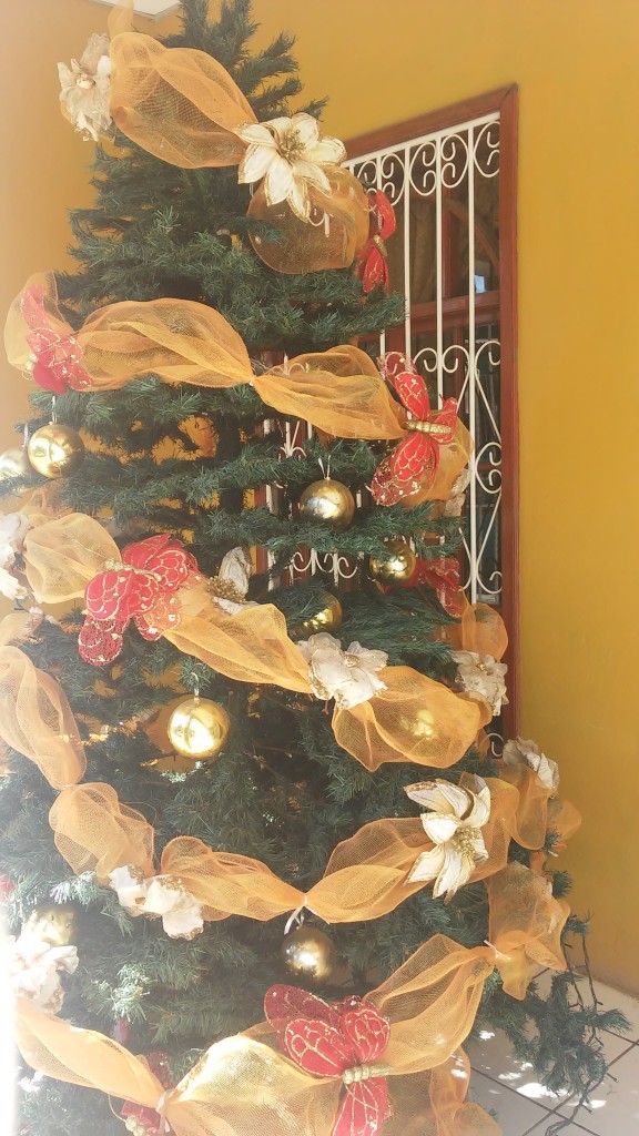 20151224_090604